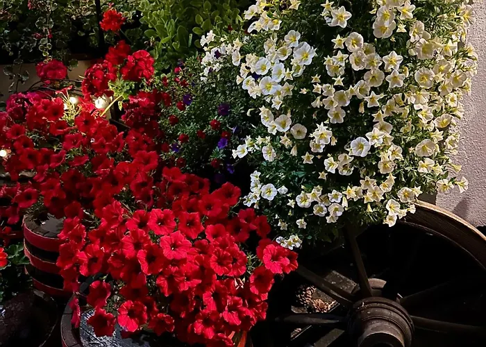 Marienhof フリース