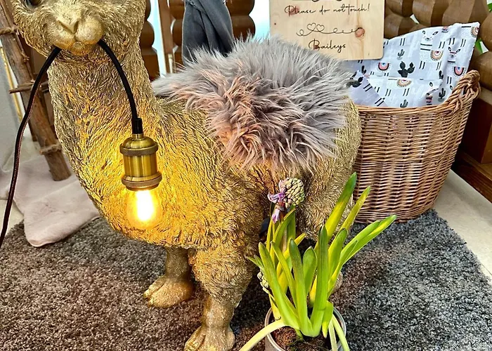 호텔 Marienhof 플리스