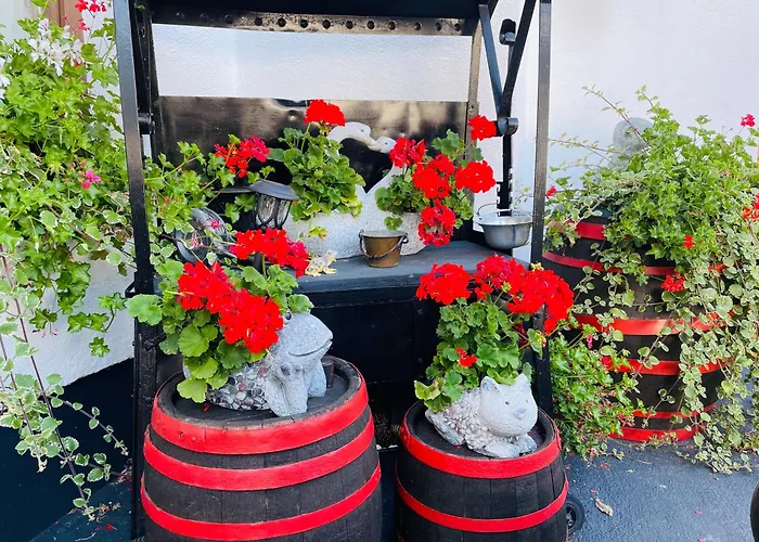 호텔 Marienhof 플리스